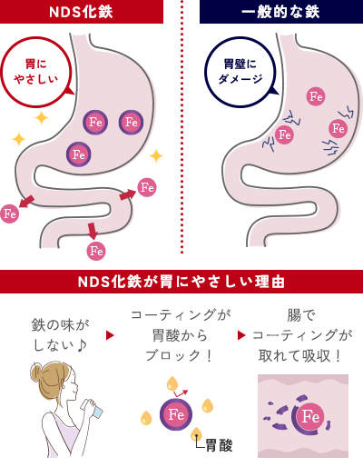 NDS化鉄：胃にやさしい 一般的な鉄：胃腸にダメージ NDS化鉄が胃にやさしい理由：鉄の味がしない♪→コーティングが胃酸からブロック！→腸でコーティングが取れて吸収！