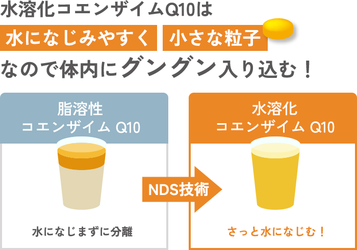 水溶化コエンザイムQ10は水になじみやすく小さな粒子なので体内にグングン入り込む！