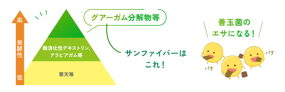 サンファイバーはこれ！グアーガム分解物等 善玉菌のエサになる！